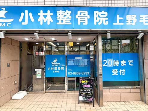 小林整骨院 上野毛
